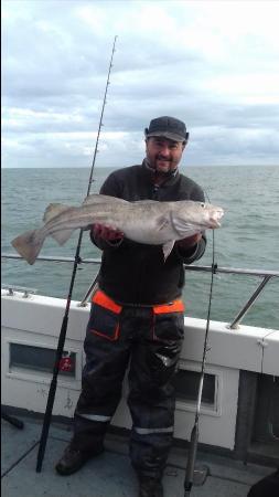 13 lb Cod by Phil Jones