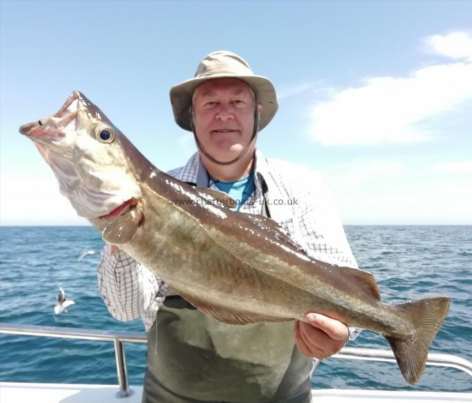 12 lb 6 oz Pollock by Unknown