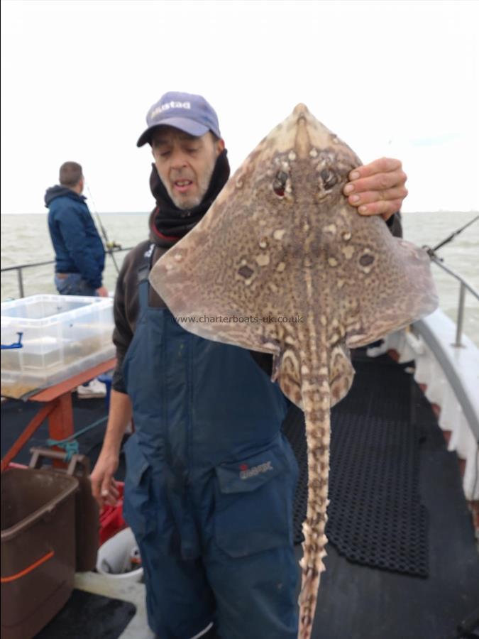 5 lb Thornback Ray by Pete