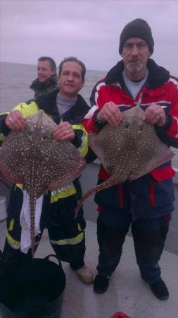 6 lb 6 oz Thornback Ray by deano