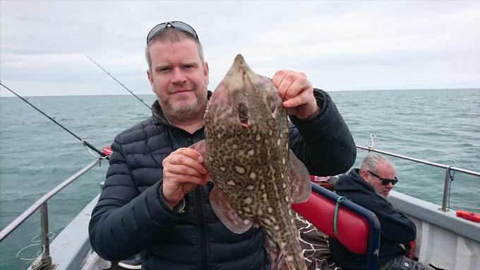 5 lb 7 oz Thornback Ray by James from Manchester