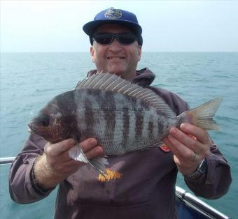 3 lb 12 oz Black Sea Bream by Dave Coppin