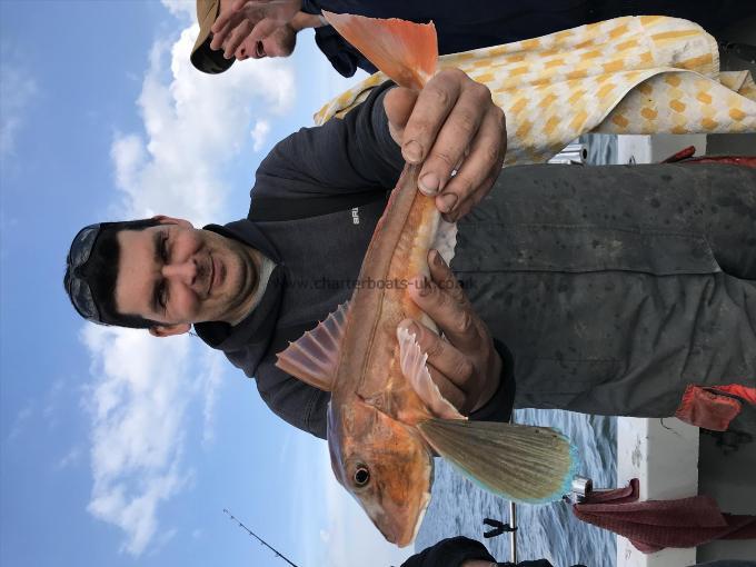 2 lb Tub Gurnard by Lance turner