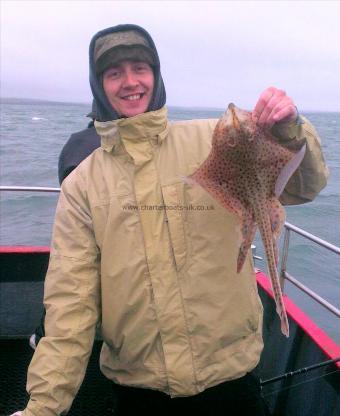 1 lb 8 oz Spotted Ray by Unknown