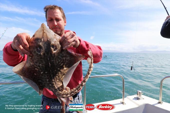 8 lb Thornback Ray by Mark