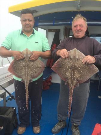 7 lb Thornback Ray by Unknown