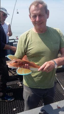 2 lb Tub Gurnard by Dan party