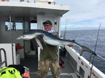 70 lb Blue Shark by Phil