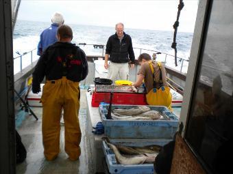 15 lb Cod by Ollie and Terry the Hip