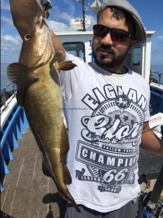 7 lb Cod by one of chazs friends 23rd may with a cod