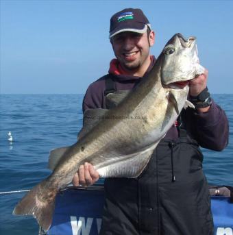 19 lb 8 oz Pollock by Antonio Comparetto