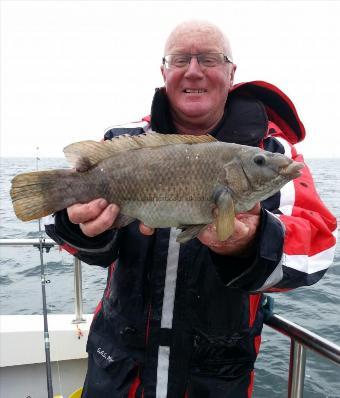 2 lb 9 oz Ballan Wrasse by Paul Whitely