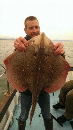 12 lb 2 oz Thornback Ray by Unknown