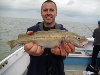 3 lb Cod by Unknown