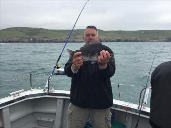 2 lb 8 oz Black Sea Bream by Graeme Bealing