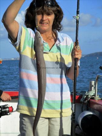 3 lb Conger Eel by penny duke