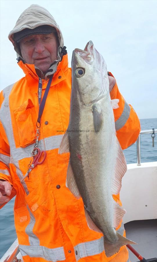 9 lb Pollock by Roy