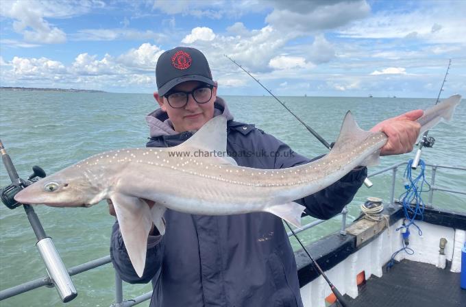 8 lb Smooth-hound by Unknown