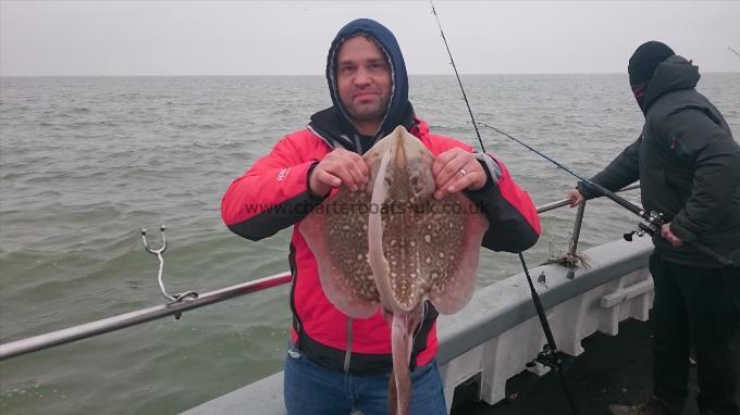 5 lb 9 oz Thornback Ray by Darren from Medway