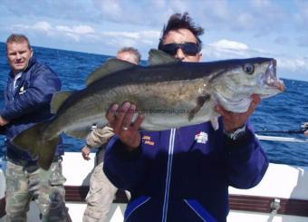 15 lb 6 oz Pollock by Unknown