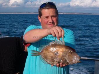 2 lb John Dory by Unknown
