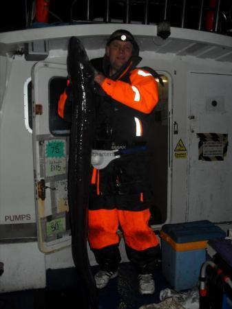 30 lb Conger Eel by Unknown
