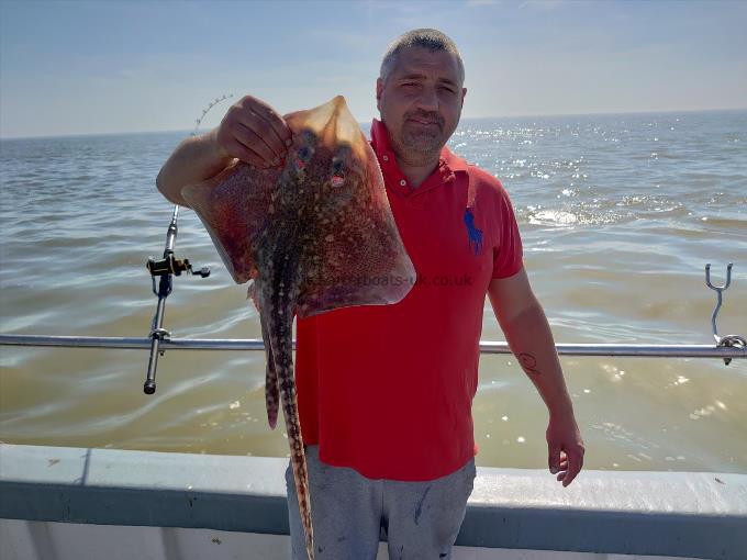 7 lb Thornback Ray by Russell