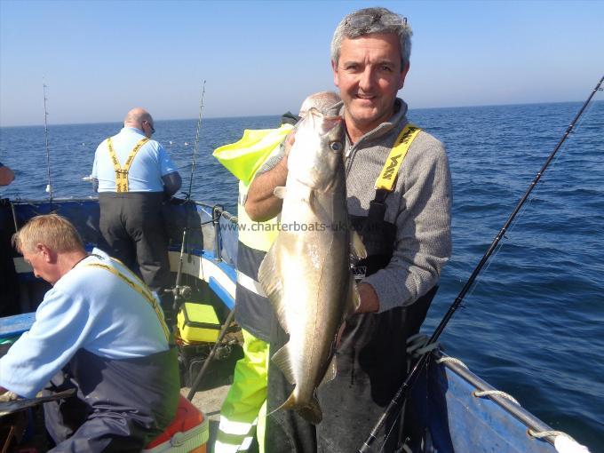 7 lb 1 oz Pollock by one of many caught by martin