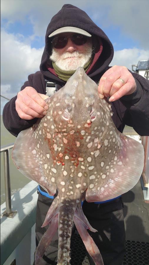 6 lb Thornback Ray by Brain from Kent