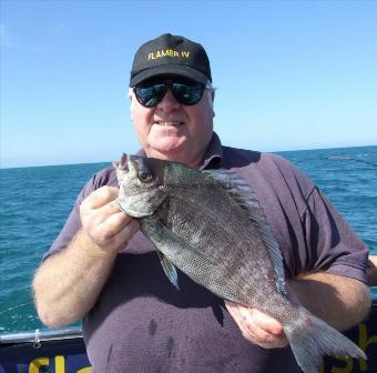 3 lb Black Sea Bream by David Gibson