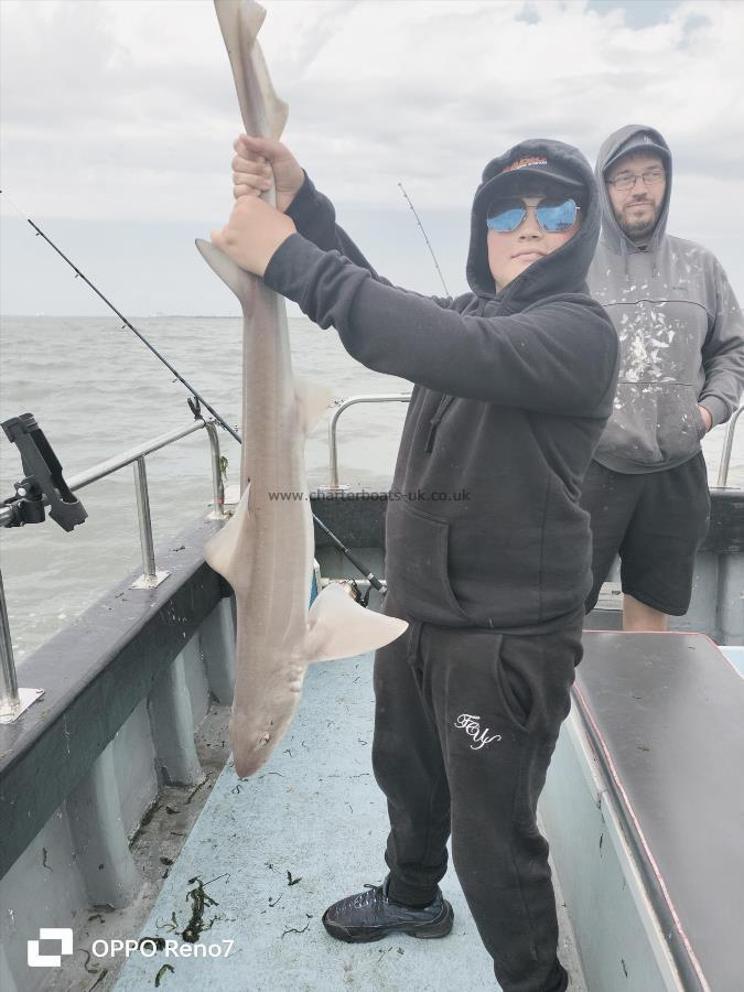14 lb 4 oz Starry Smooth-hound by Unknown