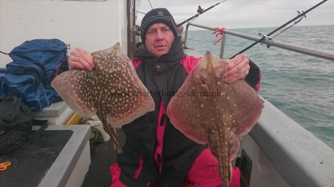 7 lb 5 oz Thornback Ray by Dan from southend