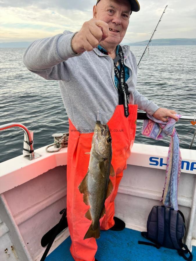 2 lb 8 oz Pollock by Terry.