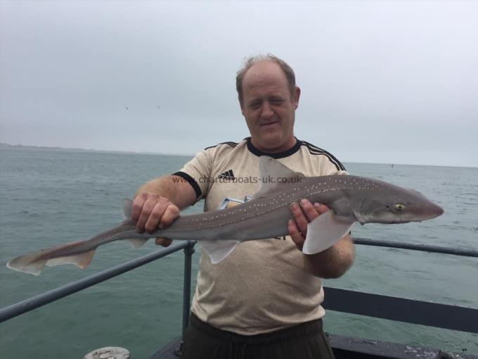 7 lb Smooth-hound (Common) by Unknown