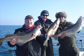 14 lb Pollock by Richard & Buster gonad & Justin