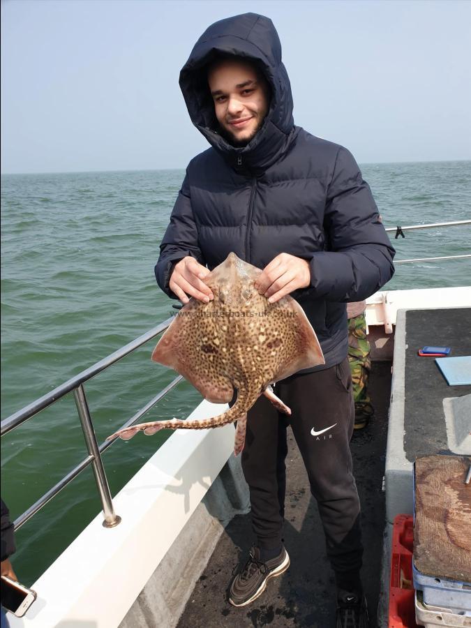 8 lb 8 oz Thornback Ray by Bob Marshall