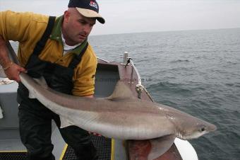 76 lb 12 oz Tope by Neil Airey's attempt on the British record