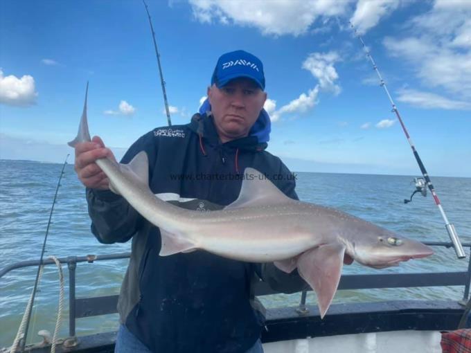 10 lb Smooth-hound (Common) by Unknown