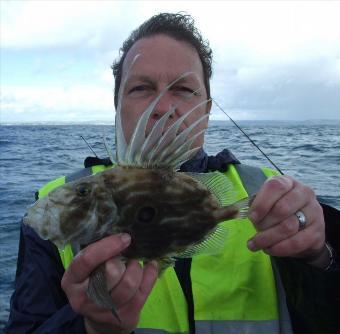 1 lb John Dory by Kevin Buchan