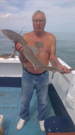 7 lb 9 oz Starry Smooth-hound by pete