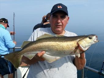 6 lb 11 oz Pollock by Mark Taylor