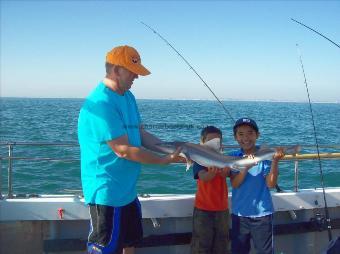 8 lb Smooth-hound by barry watts