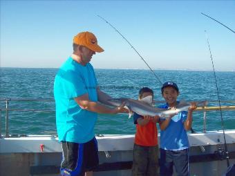 8 lb Smooth-hound (Common) by barry watts