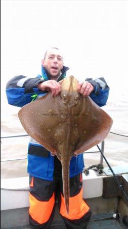 14 lb Blonde Ray by Darren