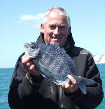 2 lb 8 oz Black Sea Bream by Steve Giggins