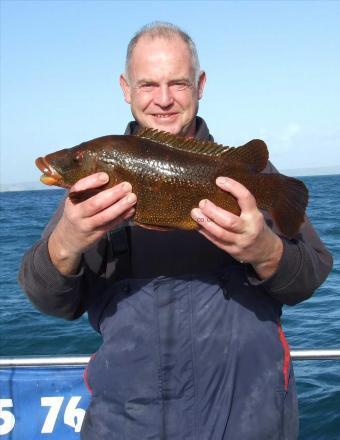 4 lb 8 oz Ballan Wrasse by Robin Amor