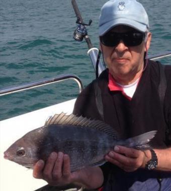 3 lb 5 oz Black Sea Bream by Peter Helyar