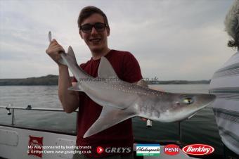 5 lb Starry Smooth-hound by Dec