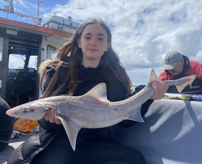 9 lb Smooth-hound by Unknown
