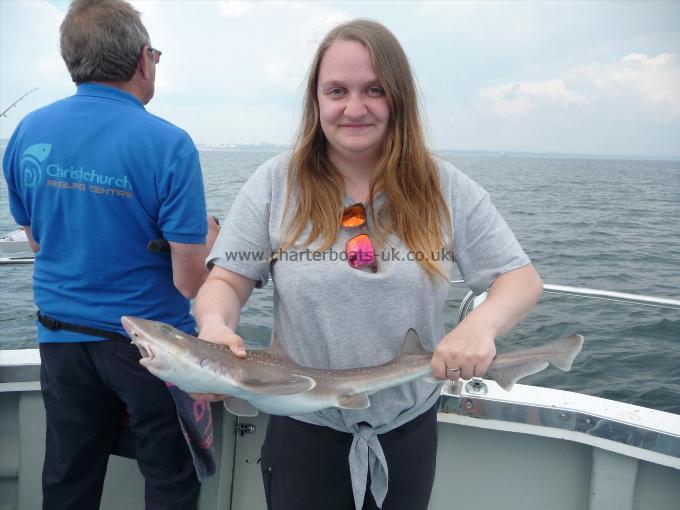4 lb Starry Smooth-hound by Lucy